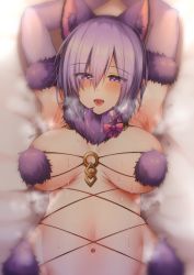 Rule 34 | 1girl, :d, animal ears, armpits, arms up, bad id, bad pixiv id, bed sheet, blush, breasts, breasts apart, elbow gloves, fate/grand order, fate (series), fur-trimmed gloves, fur collar, fur trim, gloves, hair over one eye, half-closed eyes, heavy breathing, highres, kaenuco, large breasts, looking at viewer, mash kyrielight, mash kyrielight (dangerous beast), naughty face, navel, official alternate costume, open mouth, pink gloves, pink hair, revealing clothes, short hair, smile, stomach, sweat, tongue, tongue out, upper body, wolf ears