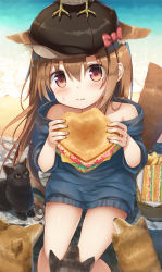 Rule 34 | 1girl, animal ears, bare shoulders, beach, bird, brown eyes, brown hair, cat, dog, eating, food, hat, long hair, looking at viewer, off-shoulder sweater, off shoulder, original, outdoors, psyche3313, sandwich, sitting, solo, sweater, tail