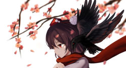 Rule 34 | 1girl, animal, animal on shoulder, bird, bird on shoulder, black hair, black wings, branch, cherry blossoms, crow, hat, highres, looking afar, petals, pom pom (clothes), red eyes, red scarf, scarf, shameimaru aya, shirt, short hair, simple background, solo, tengu, tokin hat, touhou, branch, upper body, white shirt, wings, yongzhe mei hong