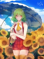 Rule 34 | 1girl, ascot, bare arms, bare shoulders, blue sky, blush, cloud, commentary, cowboy shot, day, field, flower, flower field, green hair, hair between eyes, holding, holding umbrella, kazami yuuka, looking at viewer, outdoors, plaid, plaid shorts, plaid vest, red eyes, red shorts, red vest, shirt, short hair, short shorts, shorts, sky, sleeveless, sleeveless shirt, solo, standing, sunflower, sunflower field, symbol-only commentary, thank you, thighhighs, thighs, touhou, tusia, umbrella, vest, white shirt, yellow ascot, yellow thighhighs