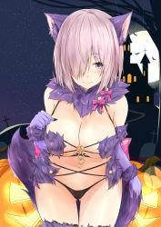 Rule 34 | 1girl, bat (animal), black panties, blush, breasts, closed mouth, cowboy shot, elbow gloves, fate/grand order, fate (series), fur-trimmed legwear, fur collar, fur trim, gloves, hair over one eye, hand up, heart, heart-shaped pupils, highres, jack-o&#039;-lantern, large breasts, mash kyrielight, mash kyrielight (dangerous beast), navel, night, official alternate costume, outdoors, panties, purple eyes, purple gloves, purple hair, purple thighhighs, revealing clothes, saku (kudrove), sky, smile, solo, star (sky), starry sky, symbol-shaped pupils, thigh gap, thighhighs, thighs, underwear