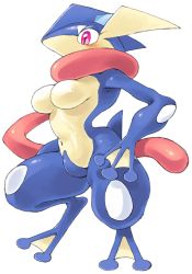 Rule 34 | 1girl, blush, breasts, creatures (company), female focus, full body, furry, furry female, game freak, gen 6 pokemon, greninja, highres, long tongue, medium breasts, navel, nintendo, no nipples, oyatsu (mk2), pink eyes, pokemon, pokemon (creature), pokemon xy, shiny skin, simple background, solo, squatting, tail, tongue, tongue out, white background
