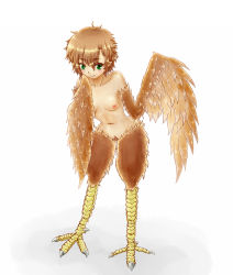 Rule 34 | 1girl, breasts, brown hair, female pubic hair, green eyes, harpy, highres, mile, monster girl, nipples, nude, pubic hair, short hair, small breasts, solo, topless