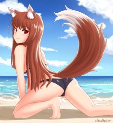 Rule 34 | 1girl, all fours, animal ears, ass, beach, bikini, brown hair, cloud, commentary, cslucaris, english commentary, holo, long hair, looking at viewer, ocean, red eyes, signature, sky, smirk, solo, spice and wolf, swimsuit, tail, wolf ears, wolf tail