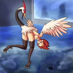 Rule 34 | bird, blush, brown hair, claws, conjoined, crane (animal), harpy, highres, monster girl, nipples, smile, transformation