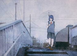 1girl arima_haruka black_skirt black_socks blue_sweater_vest bridge brown_footwear closed_mouth collared_shirt cropped film_grain grey_sky highres holding holding_umbrella looking_down medium_hair necktie outdoors overcast pedestrian_bridge photo_background purple_hair railing red_necktie sazanami_no_shoujo-tachi scenery shirt shoes short_sleeves skirt sky socks solo soma_michiko stairs standing sweater_vest umbrella utility_pole walking white_shirt wide_shot