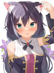 Rule 34 | 1girl, :o, animal ear fluff, animal ears, arm at side, arm up, bare shoulders, black hair, blush, breasts, cat ears, cat girl, cat tail, commentary request, detached sleeves, flower, gem, green eyes, hair between eyes, hand on own ear, highres, karyl (princess connect!), long hair, long sleeves, looking at viewer, low twintails, medium breasts, multicolored hair, open mouth, parted lips, princess connect!, purple flower, raru0310, shirt, sleeveless, sleeveless shirt, solo, streaked hair, tail, twintails, white background, white hair, white shirt