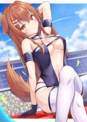 Rule 34 | 1girl, absurdres, animal ears, arm up, armband, azur lane, bad id, bad pixiv id, bare shoulders, black gloves, blue sky, blush, bone hair ornament, breasts, brown eyes, brown hair, cleavage, closed mouth, cloud, confetti, crossed legs, day, dog ears, dog girl, dog tail, gloves, hair between eyes, hair ornament, highres, hololive, inugami korone, large breasts, long hair, looking at viewer, navel, outdoors, race queen, shoukaku (azur lane), shoukaku (sororal wings) (azur lane), sitting, sky, smile, solo, tail, taracomax, thighhighs, underboob, virtual youtuber, white thighhighs
