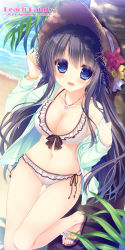 Rule 34 | 1girl, beach, bikini, blue eyes, blue hair, blush, bracelet, breasts, cleavage, collarbone, day, frilled bikini, frills, front-tie bikini top, front-tie top, halterneck, hat, jewelry, large breasts, legs, long hair, looking at viewer, matching hair/eyes, navel, necklace, open clothes, open mouth, open shirt, original, outdoors, sand, sandals, shirt, side-tie bikini bottom, solo, straw hat, sun hat, swimsuit, thigh gap, water, white bikini, yukie (peach candy)