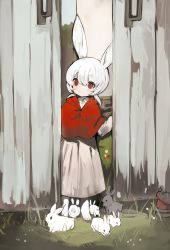 Rule 34 | 1girl, animal, blush, capelet, dress, female focus, grass, highres, low twintails, original, outdoors, rabbit, rabbit ears, red capelet, red eyes, shirokujira, short twintails, solo, standing, twintails, white dress, white hair
