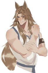 Rule 34 | 1boy, absurdres, animal ears, armband, bare arms, blue eyes, brown armband, brown hair, chiron (fate), clenched hand, collarbone, fate/grand order, fate (series), grin, haruakira, highres, horse boy, horse ears, long hair, male focus, mature male, muscular, muscular male, simple background, smile, solo, very long hair, white background, white tunic