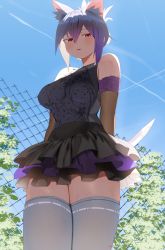 Rule 34 | 1girl, animal ear fluff, animal ears, arms behind back, bare shoulders, black gloves, black skirt, blue shirt, blue sky, breasts, cat ears, chain-link fence, commentary, commission, contrail, day, elbow gloves, english commentary, fence, gloves, grey thighhighs, hair between eyes, highres, holding, holding knife, knife, legs together, looking at viewer, medium breasts, mole, mole under eye, original, outdoors, parted lips, pleated skirt, purple hair, purple skirt, red eyes, ryusei hashida, shirt, shirt tucked in, short hair, skirt, sky, sleeveless, sleeveless shirt, solo, standing, thighhighs, zettai ryouiki