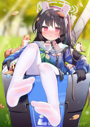 Rule 34 | 1girl, @ @, absurdres, ahoge, bird, black gloves, black hair, blouse, blue archive, blue shirt, blue skirt, blunt bangs, collar, gloves, green neckerchief, halo, headgear, hecha (01964237), highres, in container, leaf, leaf on head, leash, long hair, long sleeves, looking at viewer, miyu (blue archive), neckerchief, no shoes, open mouth, panties, panties under pantyhose, pantyhose, pleated skirt, red eyes, sailor collar, school uniform, serafuku, shirt, skirt, soles, solo, trash can, underwear, very long hair, wavy mouth, weasel, white background, white pantyhose, white sailor collar