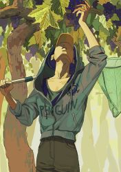 Rule 34 | 1boy, arm up, butterfly net, food, fruit, grapes, hand net, highres, holding, jacket, looking up, male focus, mulso, one piece, outdoors, penguin (one piece), plant, solo