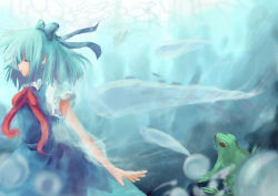 Rule 34 | 1girl, animal, bad id, bad pixiv id, blue hair, bow, cirno, detached wings, closed eyes, frog, hair bow, ice, ice wings, open mouth, puffy sleeves, rock, short hair, short sleeves, solo, stoner08, stoner (artist), touhou, underwater, wings