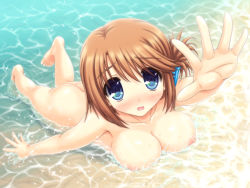 Rule 34 | 1girl, :o, aoi akua, ass, barefoot, beach, bikini, blue eyes, blush, breasts, brown hair, butt crack, collarbone, folded ponytail, foreshortening, frilled bikini, frills, komaki manaka, large breasts, looking at viewer, nipples, nude, short hair, swimsuit, to heart (series), to heart 2, wading, water