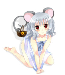 Rule 34 | 1girl, :&lt;, apron, bad id, bad pixiv id, barefoot, basket, blush, grey hair, highres, mouse (animal), mouse tail, naked apron, nazrin, nnyara, red eyes, solo, tail, touhou