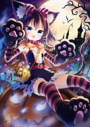 Rule 34 | 1girl, :d, animal ears, animal hands, bag, bat (animal), belt, black dress, black hair, blue eyes, candy, cape, castle, cat ears, cat paws, cat tail, collar, commentary request, detached sleeves, dress, food, full moon, halloween, highres, jack-o&#039;-lantern, lollipop, looking at viewer, moon, night, night sky, open mouth, original, satou (3366 s), short hair, shoulder bag, sky, smile, solo, star (sky), starry sky, striped clothes, striped thighhighs, swirl lollipop, tail, thighhighs, tree, zettai ryouiki