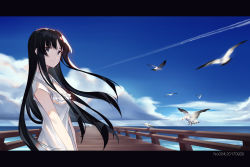 Rule 34 | 1girl, akiyama mio, bird, black hair, blue sky, buttons, closed mouth, cloud, commentary, contrail, cowboy shot, dated, day, dress shirt, flying, frilled shirt, frills, from side, grey eyes, hime cut, horizon, k-on!, letterboxed, long hair, looking at viewer, ocean, outdoors, pier, seagull, shiny clothes, shirt, short sleeves, sky, solo, standing, v arms, white shirt, wooden floor, zjm530280188