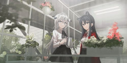 Rule 34 | 2girls, absurdres, animal ear fluff, animal ears, arknights, black bow, black eyes, black hair, black skirt, bow, chihuri, collared shirt, commentary request, dress shirt, ear piercing, flower, greenhouse, grey eyes, grey hair, hair between eyes, hair ornament, hairclip, highres, holding, indoors, jacket, lappland (arknights), long hair, looking at viewer, multiple girls, neck ribbon, open clothes, open jacket, parted lips, piercing, red flower, red jacket, red ribbon, ribbon, shirt, skirt, texas (arknights), very long hair, watering can, white flower, white shirt