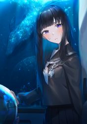 Rule 34 | 1girl, agyou sonokou l, air bubble, animal, aquarium, arm behind back, black hair, black serafuku, black skirt, blush, breasts, bubble, commentary request, coral, fish, from side, head tilt, highres, indoors, long hair, looking at viewer, looking to the side, neckerchief, orb, original, parted lips, pleated skirt, purple eyes, scales, school uniform, serafuku, skirt, skirt set, upper body, white neckerchief