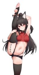 Rule 34 | 1girl, absurdres, animal ear fluff, animal ears, arm behind head, arm up, armpits, ass, bare arms, bare shoulders, black choker, black hair, black panties, black shorts, black thighhighs, breasts, choker, commission, crop top, extra ears, feet, grin, highleg, highleg panties, highres, leg lift, leg up, lifted by self, long hair, looking at viewer, medium breasts, micro shorts, midriff, navel, open fly, original, panties, pharamacom, podo (hrodvitnir), pointy ears, ponytail, red eyes, red shirt, second-party source, shirt, shorts, sidelocks, sleeveless, sleeveless shirt, smile, solo, split, standing, standing on one leg, standing split, stomach, string panties, thighhighs, thighs, thong, toeless legwear, underwear, wolf ears