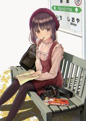 Rule 34 | 1girl, backpack, bag, bench, beret, black pantyhose, book, brown eyes, brown hair, camera, chikuwa (odennabe), dress, food, food in mouth, frills, ginkgo leaf, hat, leaf, long sleeves, medium hair, original, pantyhose, pink shirt, pocky, pocky day, red dress, red hat, shadow, shirt, sign, sitting, solo, white background