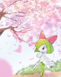 Rule 34 | 1girl, blurry, blurry foreground, blush, bush, cherry blossoms, colored skin, creatures (company), day, female focus, flat chest, full body, game freak, gen 3 pokemon, green hair, green skin, hand to own mouth, hand up, highres, kirlia, legs together, multicolored skin, nintendo, outdoors, petals, pokemon, pokemon (creature), ragia, red eyes, short hair, sidelocks, solo, standing, tree, two-tone skin, white skin, wide-eyed