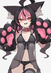 1girl :d @_@ absurdres ahoge animal_ear_fluff animal_ears animal_hands babydoll bare_shoulders black_babydoll black_hair black_panties black_thighhighs blush bow bow_panties breasts cat_ears cat_girl collar cowboy_shot fang gloves grey_background hair_between_eyes hair_intakes hands_up highres loah_66 long_hair looking_at_viewer low_twintails multicolored_hair navel open_mouth original panties paw_gloves pink_collar pink_hair red_eyes simple_background small_breasts smile solo streaked_hair sweat tail thighhighs twintails two-tone_hair underwear underwear_only v-shaped_eyebrows white_background