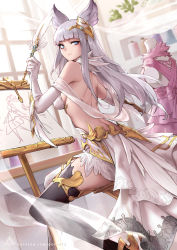 Rule 34 | 1girl, animal ears, asymmetrical legwear, backless dress, backless outfit, black thighhighs, blue eyes, blunt bangs, breasts, commentary, dress, dutch angle, elbow gloves, erune, from side, gloves, granblue fantasy, hair ornament, highres, indoors, korwa, long hair, looking back, mismatched legwear, oopartz yang, quill, sideboob, sidelocks, silver hair, sitting, small breasts, smile, solo, thighhighs, white dress, white gloves, white thighhighs
