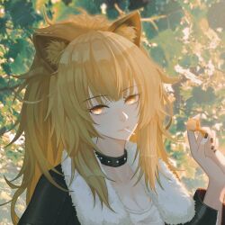 Rule 34 | 1girl, animal ear fluff, animal ears, arknights, black jacket, blonde hair, candy, food, food in mouth, fur-trimmed jacket, fur trim, hair between eyes, hand up, highres, holding, holding candy, holding food, holding lollipop, jacket, kennnai616, lion ears, lollipop, long hair, long sleeves, mouth hold, open clothes, open jacket, orange eyes, parted lips, ponytail, shirt, siege (arknights), solo, upper body, white shirt