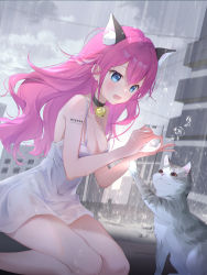 Rule 34 | 1girl, absurdres, animal, animal ear fluff, animal ears, artist name, bare legs, bare shoulders, bell, black choker, blue eyes, blush, breasts, cat, cat ears, choker, city, cleavage, commentary request, dress, fang, feet out of frame, hair between eyes, highres, jingle bell, long hair, medium breasts, open mouth, original, outdoors, pink hair, rain, revision, sleeveless, sleeveless dress, solo, somna, white dress
