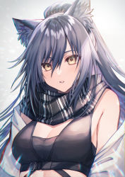 Rule 34 | 1girl, animal ear fluff, animal ears, arknights, bare shoulders, black scarf, breasts, cat ears, chromatic aberration, cleavage, commentary request, coyucom, crop top, grey background, hair between eyes, long hair, looking at viewer, medium breasts, off shoulder, parted lips, revision, scarf, schwarz (arknights), silver hair, sleeveless, solo, upper body, yellow eyes