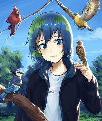Rule 34 | 1girl, alternate costume, bad id, bad pixiv id, bird, bird on hand, bird request, blue eyes, blue hair, blue jacket, branch, clothes writing, cloud, earth-chan, green hair, hand up, highres, jacket, multicolored hair, open clothes, open jacket, original, outdoors, shinidei, shirt, short hair, sky, smile, solo, tree, upper body, white shirt