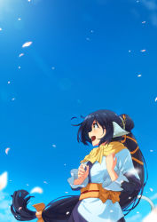 Rule 34 | 1girl, :d, animal ears, black hair, blue sky, cherry blossoms, cloud, commentary request, day, from below, japanese clothes, kuon (utawarerumono), long hair, long sleeves, looking afar, low-tied long hair, obi, open mouth, outdoors, petals, ponytail, profile, sash, scarf, sky, smile, solo, standing, tomato (lsj44867), upper body, utawarerumono, utawarerumono: itsuwari no kamen, very long hair, wind, yellow eyes, yellow scarf