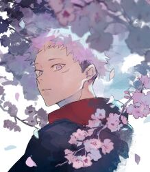 Rule 34 | 1boy, bad id, bad twitter id, black jacket, cherry blossoms, commentary request, facial mark, falling petals, highres, hood, hoodie, imoimotaru10, itadori yuuji, jacket, jujutsu kaisen, looking at viewer, looking back, male focus, parted lips, petals, pink hair, profile, red hoodie, solo, spiked hair, undercut, upper body