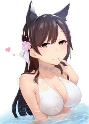 Rule 34 | 1girl, absurdres, atago (azur lane), atago (summer march) (azur lane), azur lane, bare shoulders, bikini, black hair, blush, breasts, brown eyes, cleavage, closed mouth, collarbone, commentary request, finger to mouth, hair ribbon, halterneck, heart, highres, hoshimiya aki, large breasts, long hair, looking at viewer, mole, mole under eye, partially submerged, ribbon, simple background, smile, solo, swimsuit, upper body, white bikini, white neckwear, white ribbon
