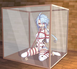Rule 34 | 1girl, absurdres, ahoge, arms behind back, ball gag, bdsm, blue hair, blush, bondage, bone ko, bound, bound arms, bound legs, box, breasts, chain, chained, collar, commission, elbow gloves, full body, gag, gloves, highres, in box, in container, leotard, medium hair, neptune (series), no shoes, red eyes, restrained, rope, second-party source, sex toy, shibari, shibari over clothes, short hair with long locks, sitting, skindentation, small breasts, solo, thighhighs, wariza, white gloves, white heart (neptunia), white leotard, white thighhighs, wiffle gag