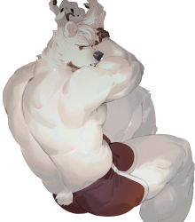 Rule 34 | 1boy, absurdres, animal ears, bara, bear boy, bear ears, bear tail, biceps, bound, bound wrists, dolphin shorts, feet out of frame, furry, furry male, highres, looking at viewer, male focus, muscular, muscular male, original, pectorals, red shorts, seato-hao, topless male, short hair, shorts, solo, tail, thick thighs, thighs, white fur