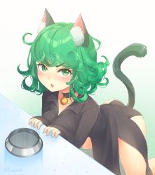 Rule 34 | 1girl, all fours, animal ears, bell, neck bell, black dress, blush, bowl, breast press, cat ears, cat tail, choker, curly hair, dress, fang, green eyes, green hair, kemonomimi mode, looking at viewer, matching hair/eyes, one-punch man, open mouth, pet bowl, runamochi, short hair, sleeves past wrists, solo, tail, tatsumaki
