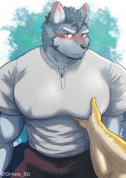 Rule 34 | 2boys, bara, blush, ear blush, feet out of frame, forked eyebrows, furry, furry male, furry with furry, grabbing, highres, large pectorals, looking at viewer, male focus, meme, multiple boys, muscular, muscular male, orea-doi, original, pectoral grab, pectorals, photo-referenced, pov, pov hands, sitting, solo focus, the masculine urge to (meme), thick eyebrows, wolf boy, yaoi