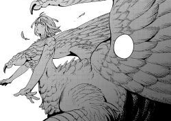 Rule 34 | 1girl, breasts, dungeon meshi, falin touden, feathers, looking at viewer, medium breasts, monochrome, monster girl, solo, underboob