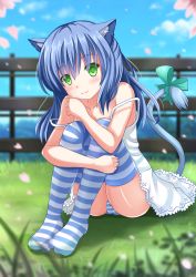 Rule 34 | 1girl, :3, animal ears, blue hair, blurry, breasts, cat ears, cat tail, cherry blossoms, cleavage, depth of field, green eyes, highres, hugging own legs, kazenokaze, legs together, long hair, looking at viewer, original, panties, pantyshot, petals, sitting, small breasts, solo, striped clothes, striped panties, striped thighhighs, tail, thighhighs, underwear