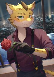 Rule 34 | 1boy, black gloves, brown fur, city lights, cropped legs, flower, furry, furry male, gloves, green eyes, highres, holding, holding flower, looking at viewer, male focus, multicolored fur, night, ose (housamo), panther boy, panther ears, panther tail, ponzu tas, red flower, red rose, red shirt, rose, shirt, skyline, solo, suspenders, tokyo houkago summoners, whiskers, yellow fur, young ose (housamo)