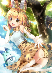 Rule 34 | 10s, 1girl, animal ears, animal print, ass, bad id, bad pixiv id, bare shoulders, blonde hair, blush, bow, day, elbow gloves, gloves, hair between eyes, kemono friends, looking at viewer, lucky beast (kemono friends), maruchan., open mouth, outdoors, outstretched hand, panties, pantyshot, serval (kemono friends), serval print, serval tail, shirt, short hair, skirt, sleeveless, sleeveless shirt, tail, thighhighs, tree, underwear, white shirt, yellow eyes