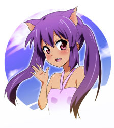 Rule 34 | 00s, 1girl, alternate hair color, animal ears, bad id, bad pixiv id, bare shoulders, cat ears, face, flat chest, k-on!, nakano azusa, pink eyes, purple hair, solo, tan, twintails, zpolice