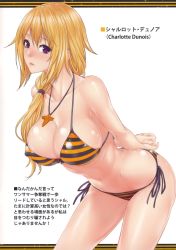 Rule 34 | 10s, 1girl, absurdres, bikini, blonde hair, breasts, charlotte dunois, female focus, highres, infinite stratos, large breasts, looking at viewer, purple eyes, simple background, solo, striped, striped background, swimsuit, zucchini