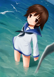 Rule 34 | 1girl, bad id, bad pixiv id, bird, brown eyes, brown hair, catocala, clenched hand, dutch angle, looking at viewer, miyafuji yoshika, partially submerged, seagull, short hair, solo, standing, strike witches, wading, water, world witches series