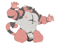 1boy abs bara black_fur claws commentary creatures_(company) cropped_legs fangs furry furry_male game_freak gen_7_pokemon highres incineroar large_pectorals male_focus muscular muscular_male nintendo nipples open_mouth pectorals penis penis_peek pokemon pokemon_(creature) red_fur sharp_teeth simple_background solo tail teeth thick_thighs thighs veins veiny_penis white_background zeke_woof_(zekebearr)