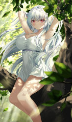 Rule 34 | 1girl, armpits, arms behind head, arms up, bare arms, bare shoulders, breasts, cleavage, day, dress, highres, large breasts, lin (user uzmw2535), long hair, looking at viewer, nature, original, outdoors, red eyes, short dress, sleeveless, sleeveless dress, solo, spaghetti strap, strap gap, sundress, thighs, tree, tree shade, very long hair, white dress, white hair
